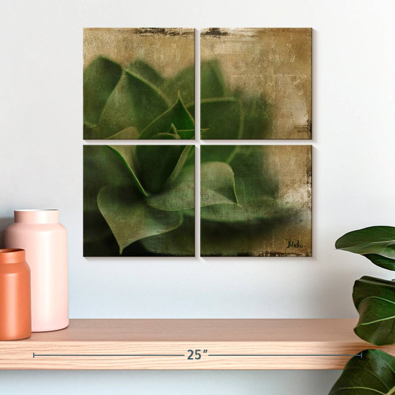 Harnek Succulent II