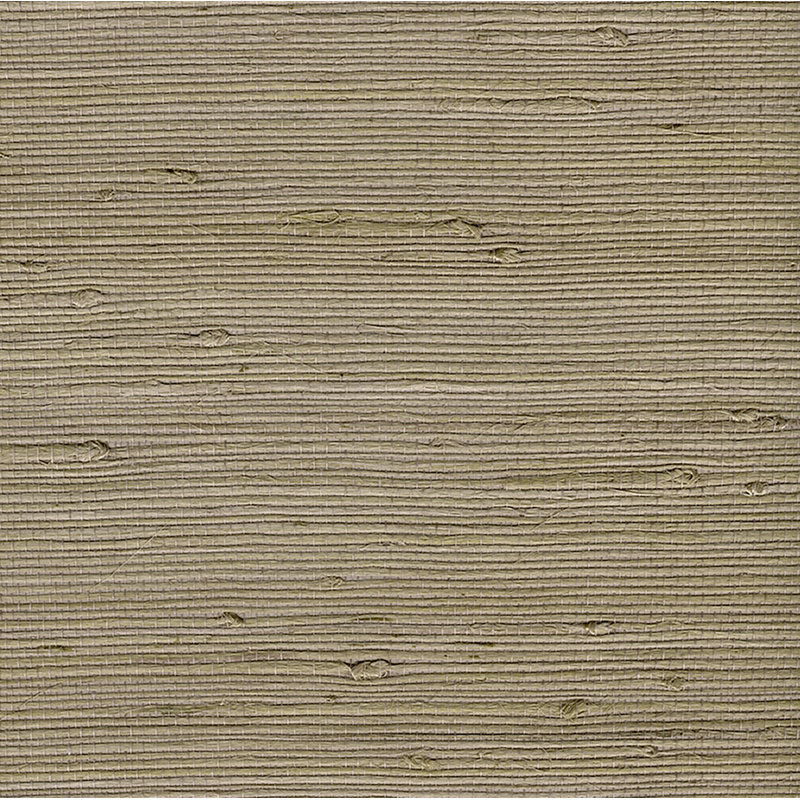 Rouleau de papier peint 24 po x 36 po Duuteis Jute, Brun clair