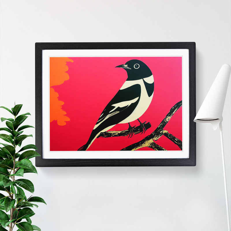Captivating Magpie Bird - Single Picture Frame Print, Black, 25cm H x 34cm W x 2cm D
