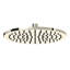Tenerife™ 9.84" Rain Showerhead-223246059