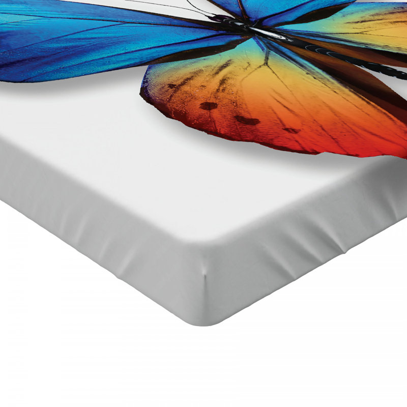 Drap-housse papillon, Drap-housse grand