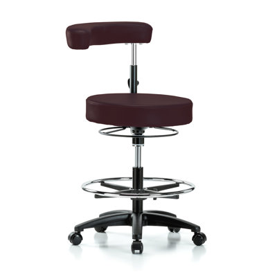 Geloff Adjustable Height Lab Stool with Footrest and Removable Casters/Wheels