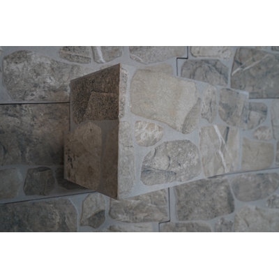Carrelage mural 8 "x 24"