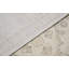 Ziegler Wool Oriental Area Rug in Beige