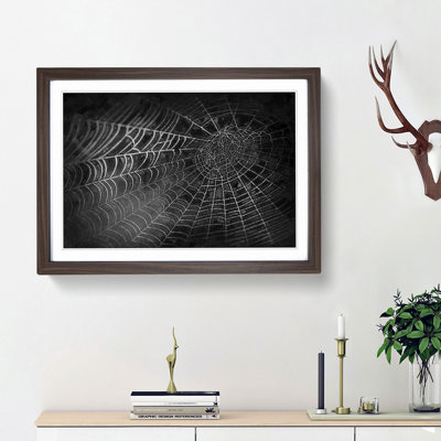 Spiders Cobweb in Abstract - Framed Print