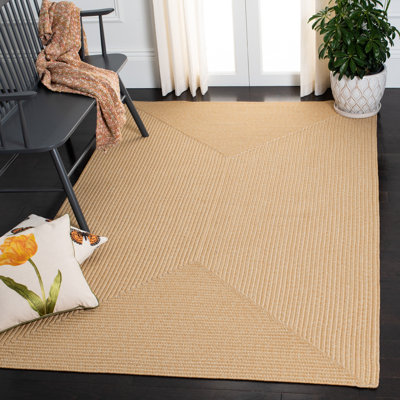 Braided Hand Woven Performance Machine Washable Solid Colour Indoor/Outdoor Area Rug