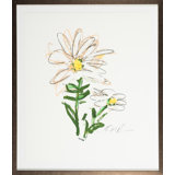 Yellow And White Daisy - Flower 5 Print by Robert Robinson