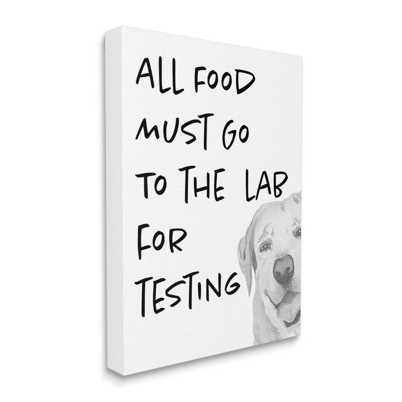 «Food To Lab For Testing Drôle de chien flottant» par Elizabeth Medley, H 30 po x l 24 po x P 1,5 po, Toile tendue