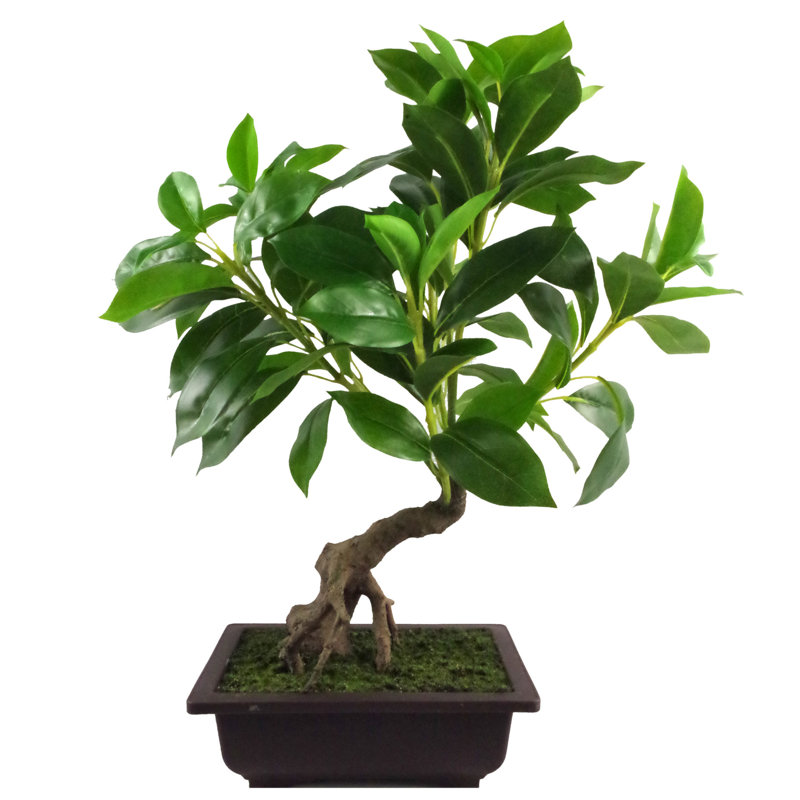 Annistyn 50cm Faux Ficus Tree in Pot