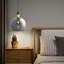 Aguero 1 -Light Single Globe Pendant Light