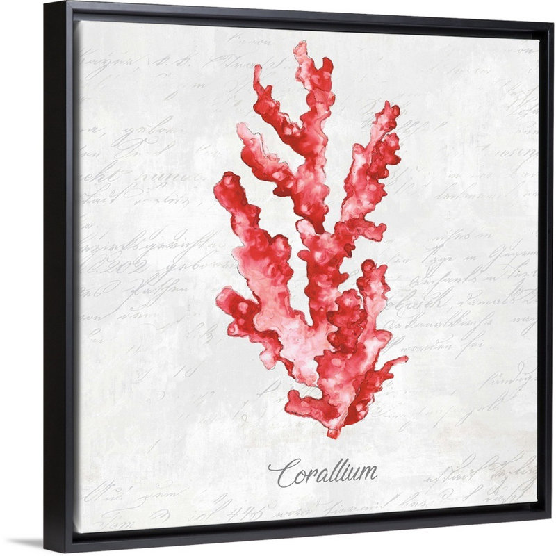 Reproduction d’art graphique sur toile, "Red Sea Coral" par Eva watts, H 38 po x l 38 po x P 1,75 po, Cadre noir