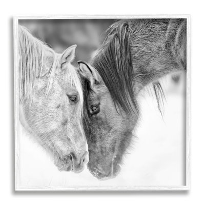 " Horse Hug Photography " by PH Burchett