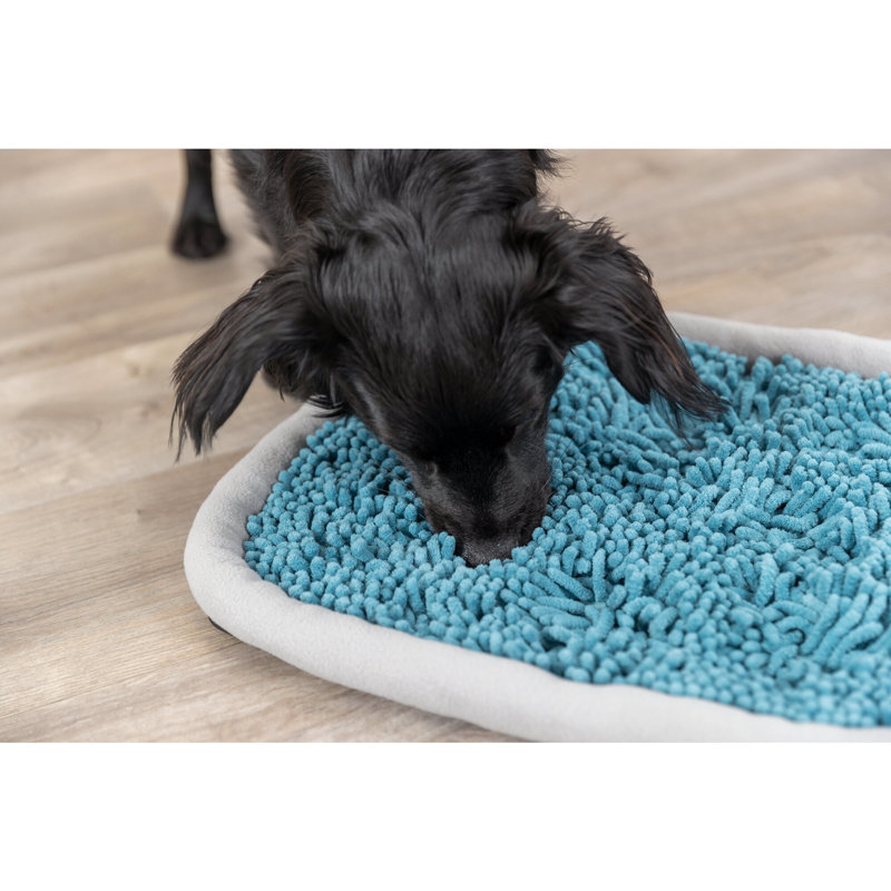 Plaque de jeu de chien Snuffle & Seek
