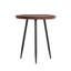 Aneth Solid Wood Top End Table-66984236