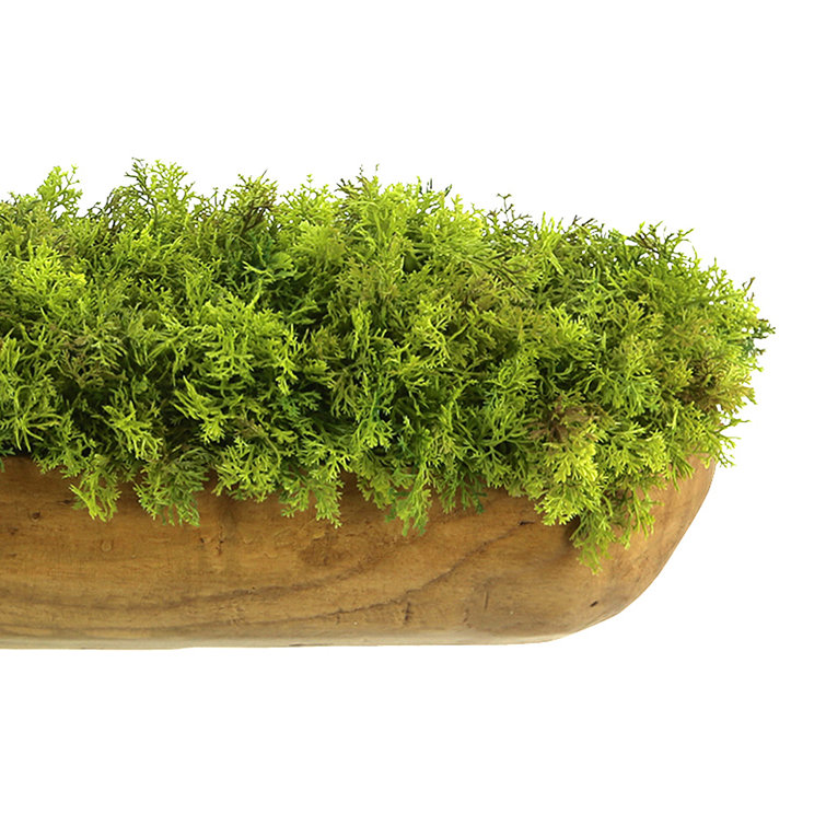 Creative Displays, Inc. Faux Moss Plant in Wood Planter | Perigold