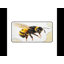 Polyester Desk Pad-1375199121