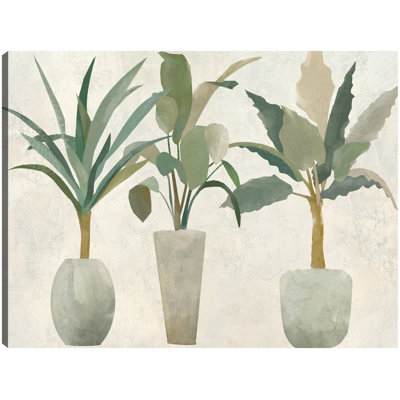 Greenery Trio by Studio Arts Canvas Art Print