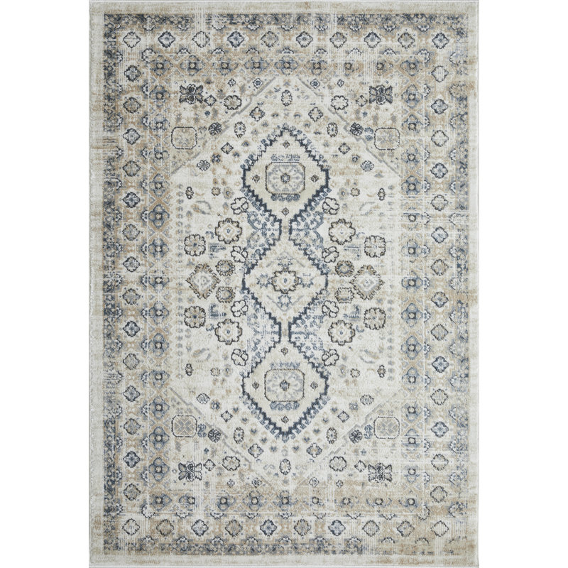 Aldolivio Oriental Indoor Rug, Rectangle 4' x 6'