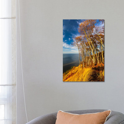 Poland, Baltic Sea, Wolin National Park by Mikolaj Gospodarek - Wrapped Canvas Print