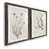 Noyer