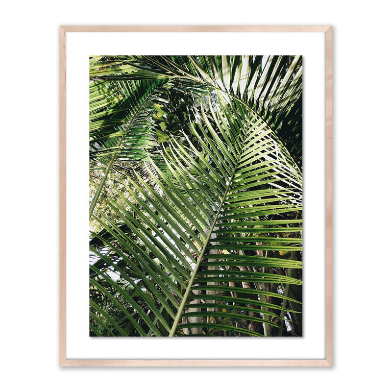 Palm I Print by Vitaliy Paykov, 40" H x 32" W x 2.5" D, Natural