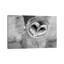 Cute Owl Wings Spread by Leah Straatsma - Wrapped Canvas Gallery-Wrapped Canvas Giclée-1657330688