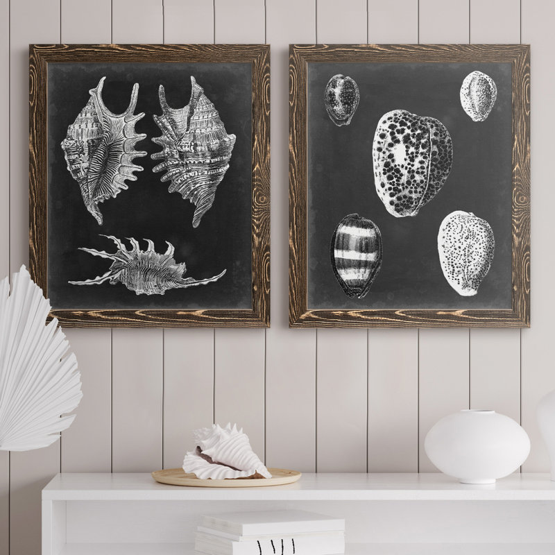 Alabaster Shells V - ensemble de 2 reproductions d'art sur toile, H 20 po x l 17 po x P 1 po, Toile avec cadre en noyer