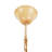 6 Lights Vintage Style Classic Exquisite Resin Antler Ceiling Light Chandelier
