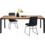 Table Phoenix 100x220cm
