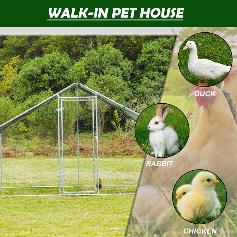 Dack Walk In Chicken Run with Chicken Run, 78'' H X 78'' W X 276'' D