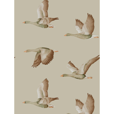 Elysian Geese 10.05m x 68.6cm Wallpaper Roll