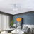 22 In LED Ceiling Fan Light