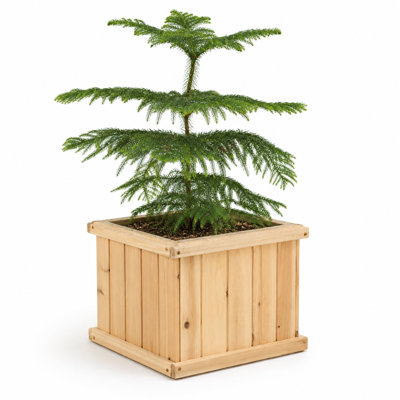 Alann 15 inch Cedar wood Square Planter Box