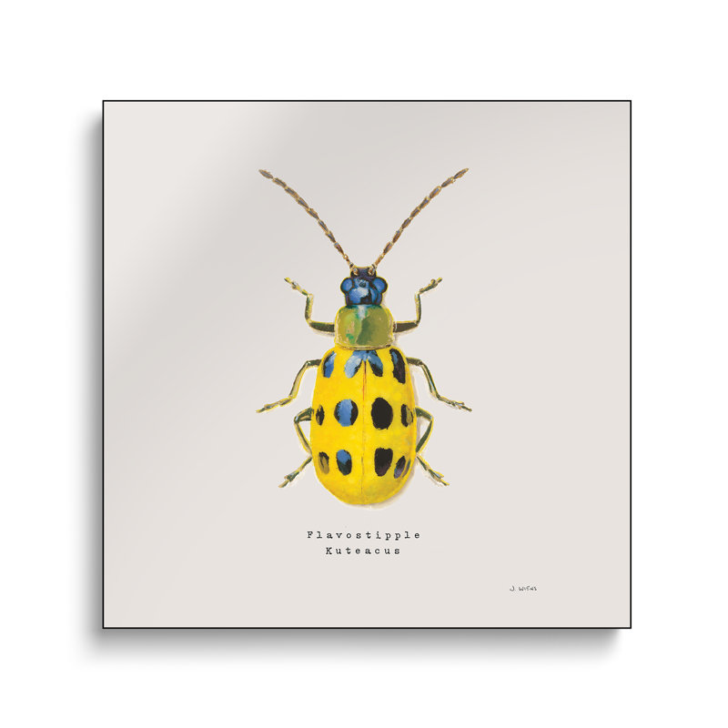 "Steemplix", reproduction d'art sur toile - Adopter Coleoptera VII Sq Golden par James Wiens
