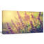 « rétro photo of wild purple fleur », impression sur toile tendue-19408613