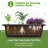 Denishia 5-Tier Vertical Raised Garden Bed-788744587-788744585-739331005