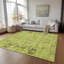Tapis intérieur / extérieur Killingly avec envers antidérapant-1757226453