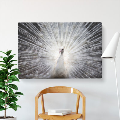 White Peacock - Wrapped Canvas