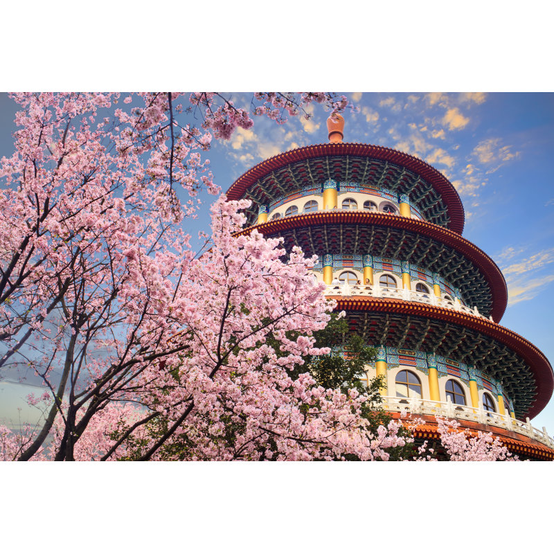 Beautiflu Sakura Garden With Nice Sky In Taipei, Taiwan by Nicholashan - Wrapped Canvas Print, 30cm H x 46cm W x 3.8cm D
