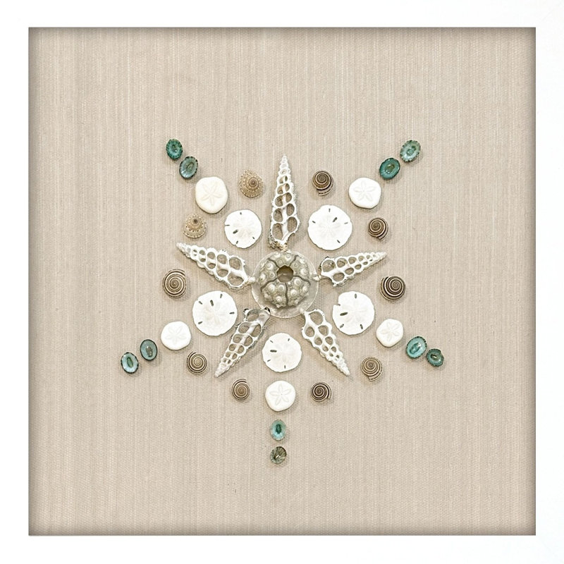 «Caparazon Seashells», art mural encadré blanc