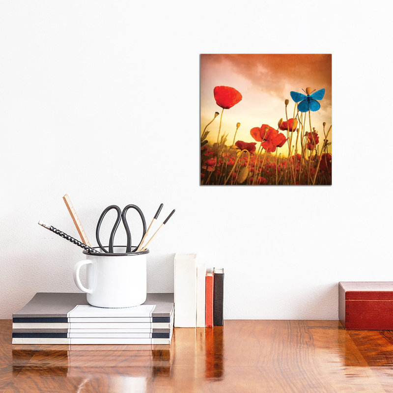 Poppies Dream by Marco Carmassi - Wrapped Canvas Gallery-Wrapped Canvas Giclée, 30.48 cm H x 30.48 cm W