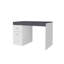 Hodgeman Computer Desk-591381368