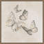 «Butterfly Fly» par Eli Jones, reproduction d'art sur toile encadrée-571130995