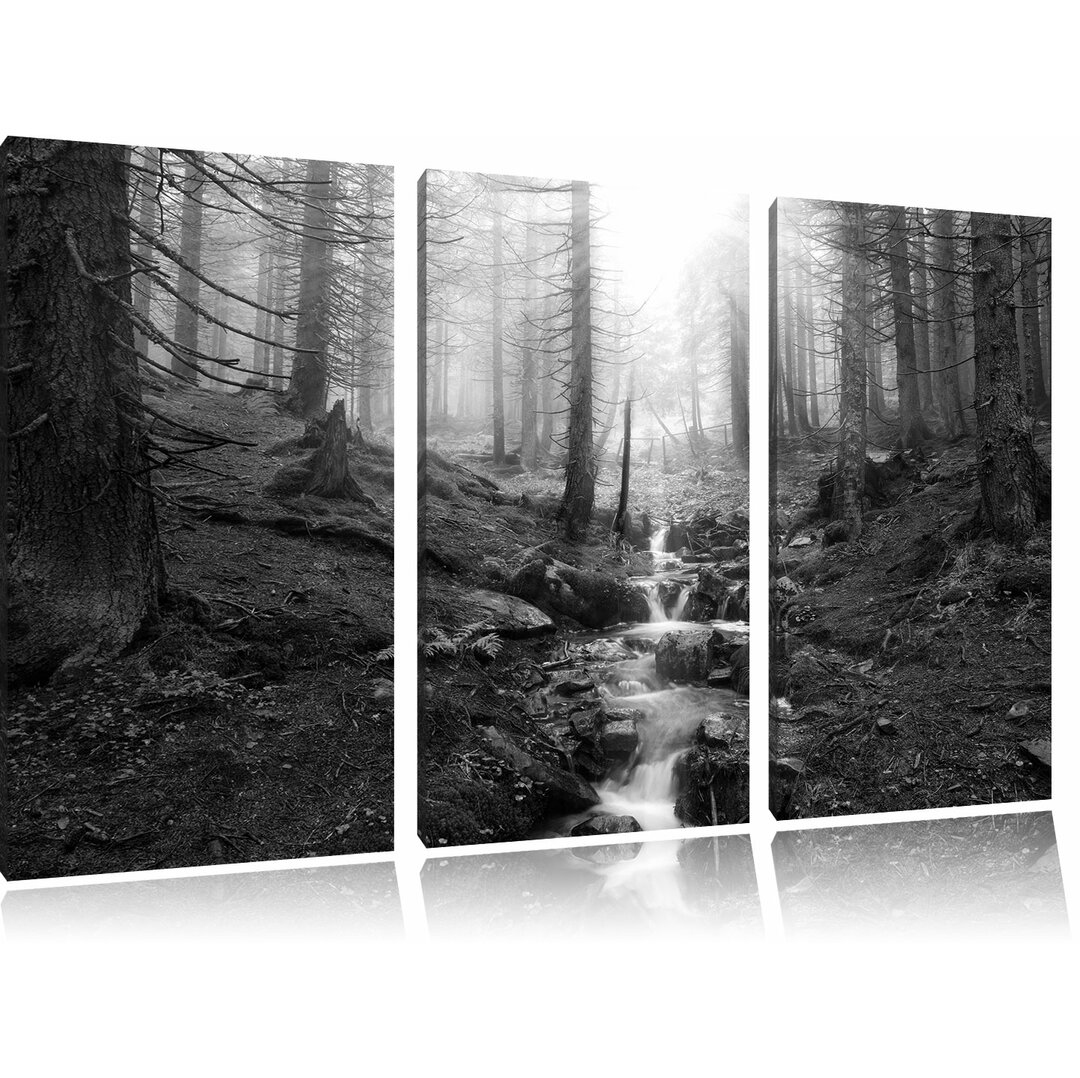 3-tlg. Leinwandbilder-Set „Bach im Wald“, Fotodruck