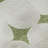 Premium Machine Washable Prisco Green Rug-2147463472