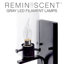 DEL de 6 watts Deena - réminiscente - filament à filament gris - A19 - base moyenne - 2700K CCT - transparent - 120 volts