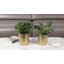 Handmade Pot Planter-589932627