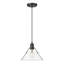Luminaire suspendu conique à 1 lumière Weatherford-660949723-663876209-660949696