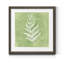 Forest fougères II-impression encadrée Premium-prête à accrocher-impression sur papier encadrée-847573878-847573877-847519772