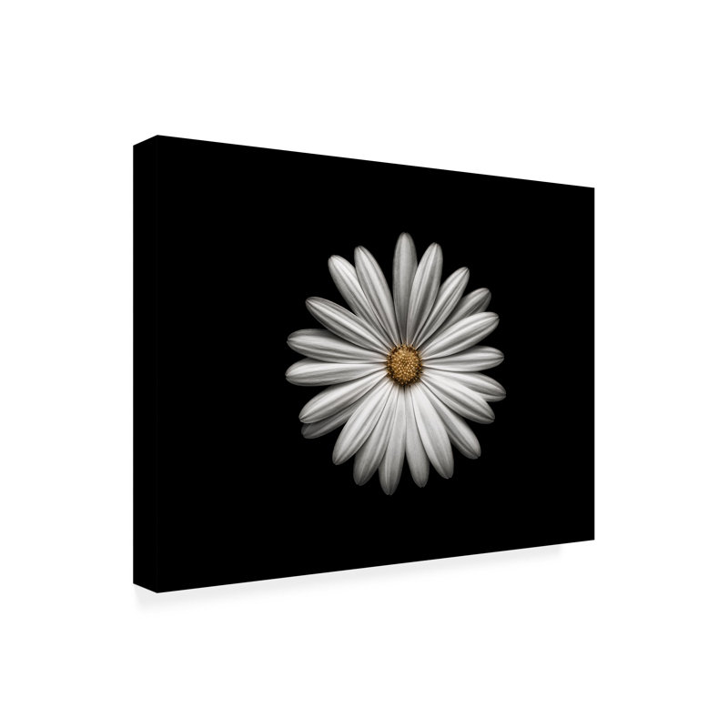 Art sur toile, bol Lotte Gronkar Gerbera, H 14 po x l 19 po